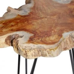 24 in. Brown Round Wood Live Edge Top End Table with Black Metal Hairpin Legs 2-Pieces by Litton Lane -Outlet Litton Lane Store brown litton lane coffee tables 42061 1f 1000