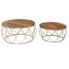 Set of 2 Brown Metal Contemporary Accent Table, 22 in. x 29 in. by Litton Lane