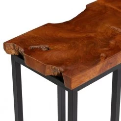 21 in. Brown Rectangle Wood Live Edge Top End Table with Black Metal Base by Litton Lane -Outlet Litton Lane Store brown litton lane end side tables 71471 77 1000