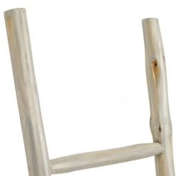 59 in. White Teak Wood Ladder by Litton Lane -Outlet Litton Lane Store white litton lane bookcases bookshelves 21669 77 1000